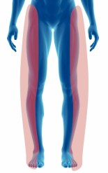 legs (out)