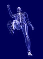 skeleton foot