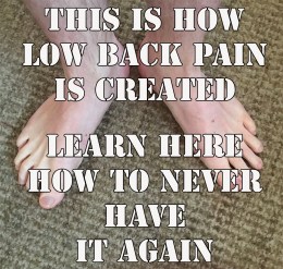 low back never again